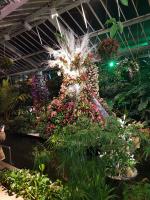 20200303-Kew Gardens/0